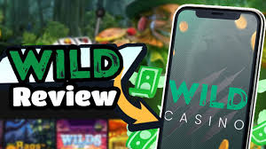 Complete Review of Wild Casino Site